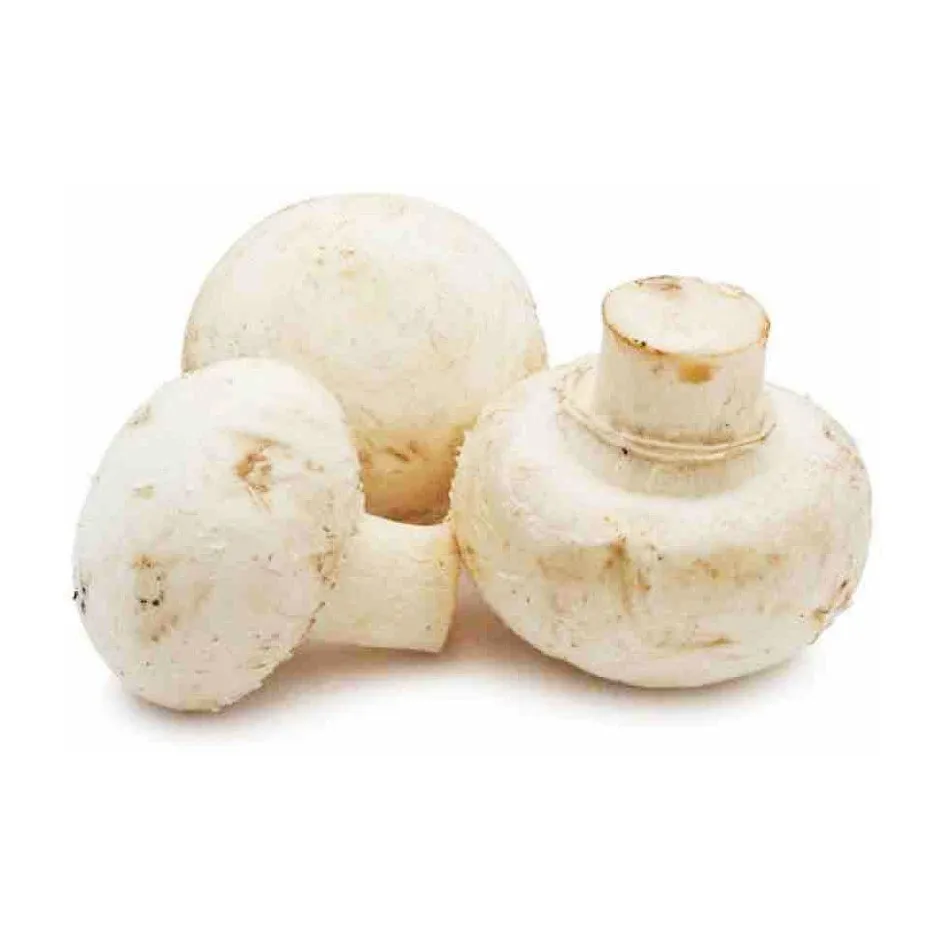 Mushroom Powder